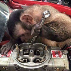 Meet your Posher, Colin